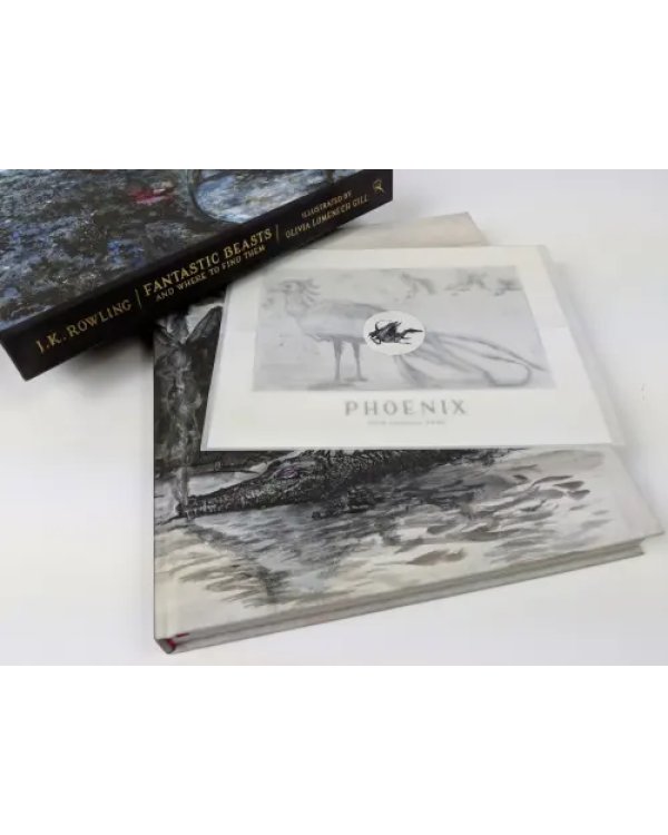 Fantastic Beasts and Where to Find Them