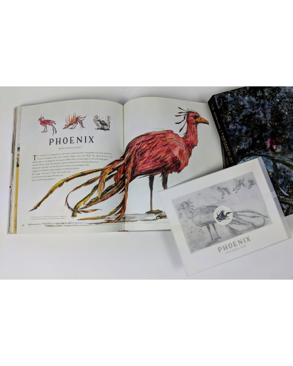 Fantastic Beasts and Where to Find Them