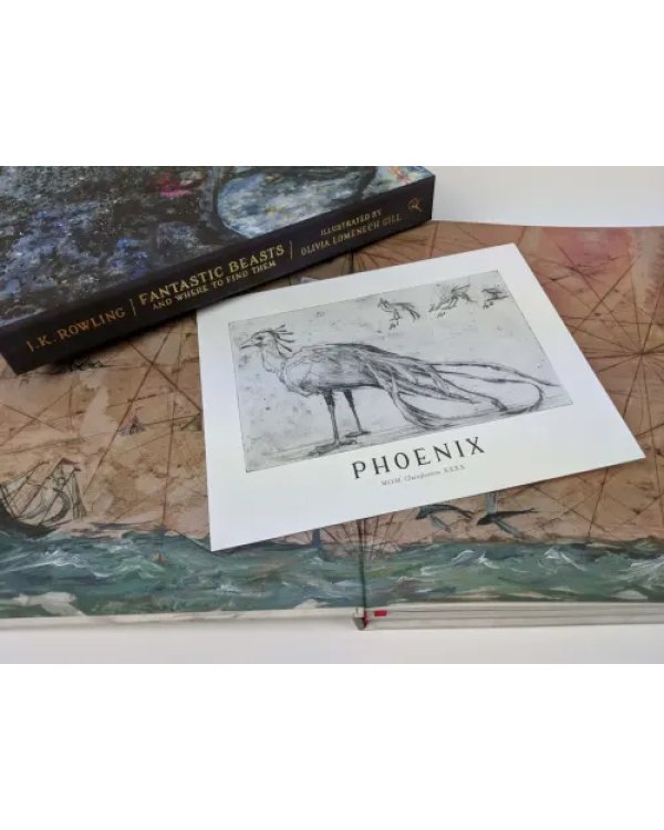 Fantastic Beasts and Where to Find Them