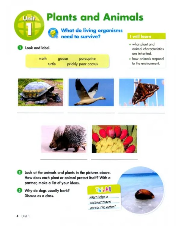 Big Science 5. Student's Book