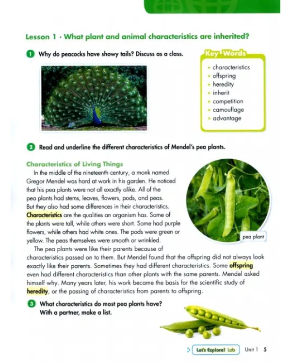 Big Science 5. Student's Book