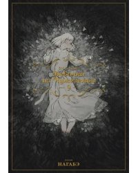 Девочка из Чужеземья. Том 9