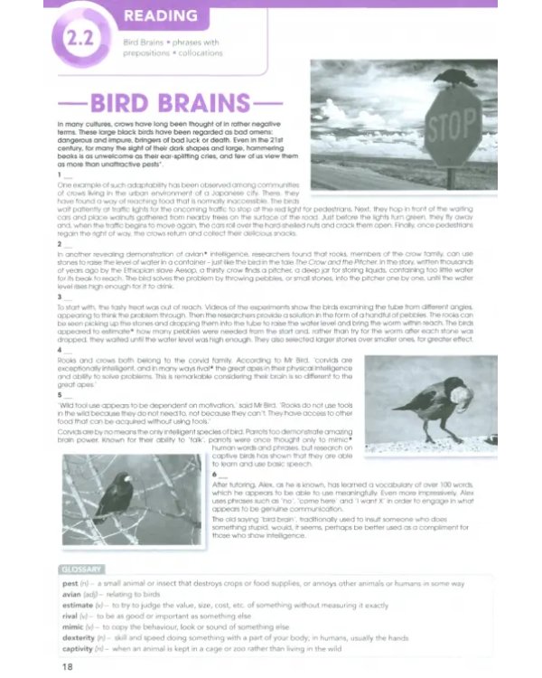 Focus 5. Workbook