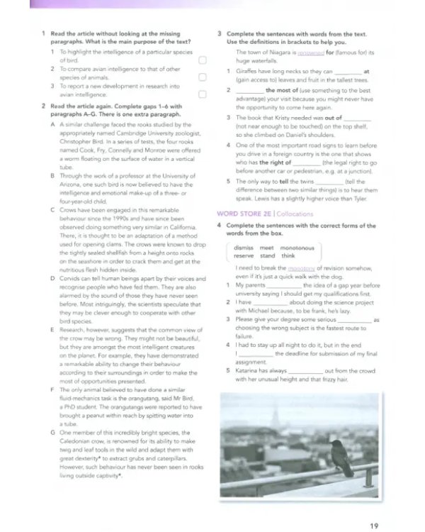 Focus 5. Workbook