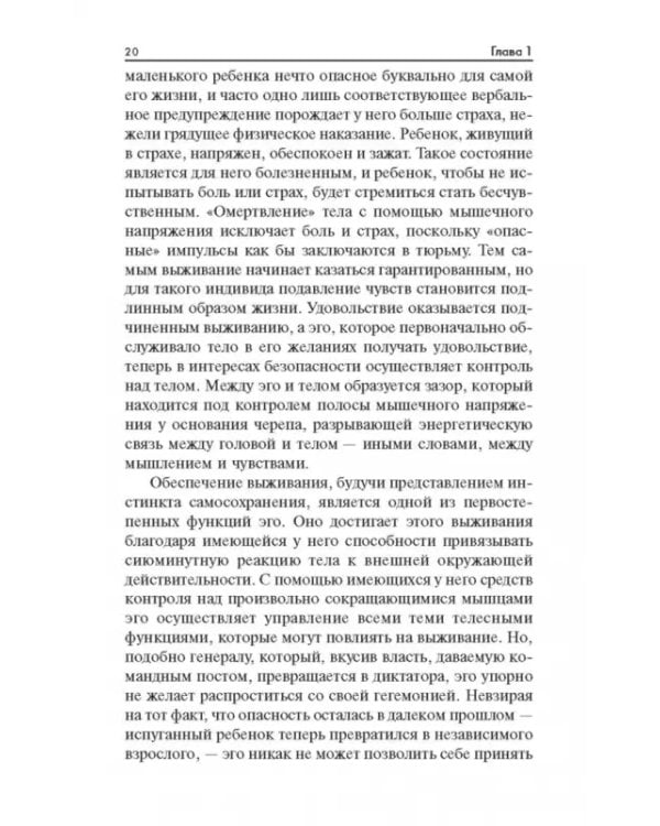 Радость. Как наполнить тело энергией, а жизнь счастьем