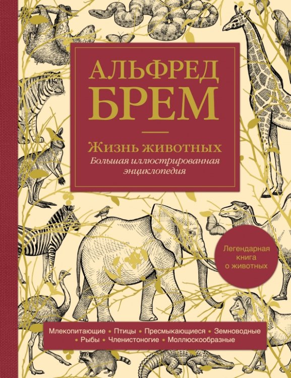 Обложка книги «Жизнь животных. Большая иллюстрированная энциклопедия» — Брэм Альфред Эдмунд, ISBN 9785041716820
