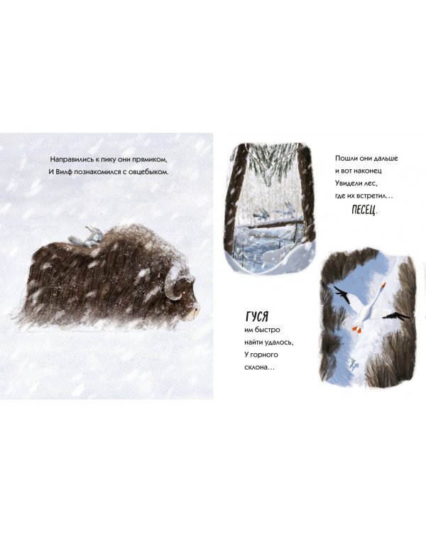 Путь волчонка