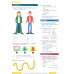 Wider World. Starter. Students' Book with MyEnglishLab access code inside