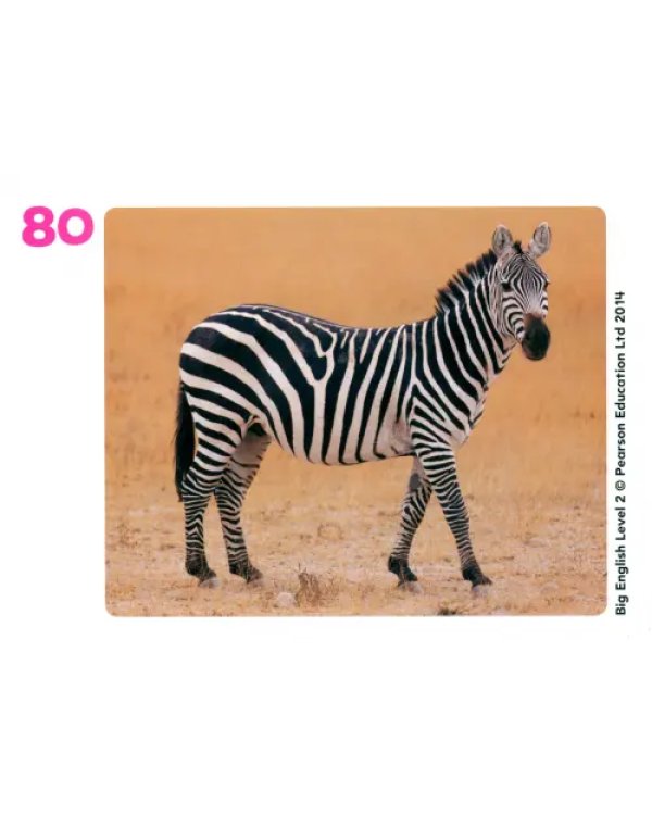 Big English 2. Flashcards