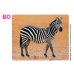 Big English 2. Flashcards