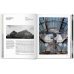 Architecture in the 20th Century