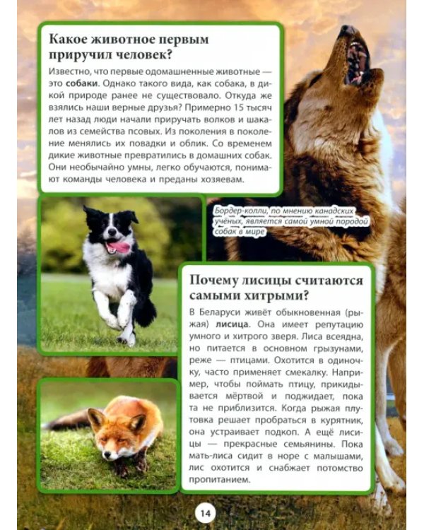 Животные