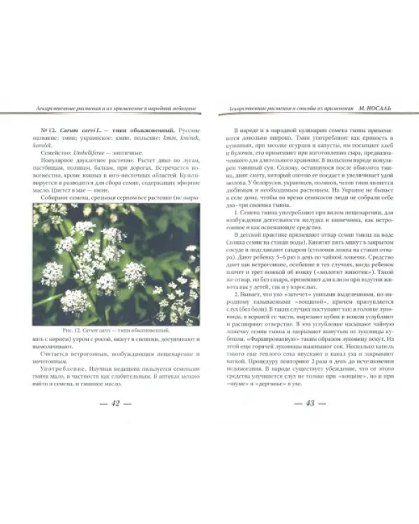Лекарственные растения и способы их применения в народе