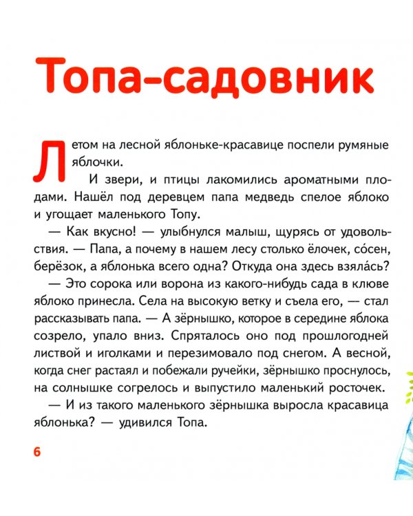 Медвежонок Топа