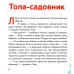 Медвежонок Топа