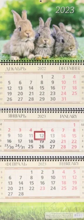 Обложка книги «Календарь квартальный на 2023 год Солнечные зайчики»