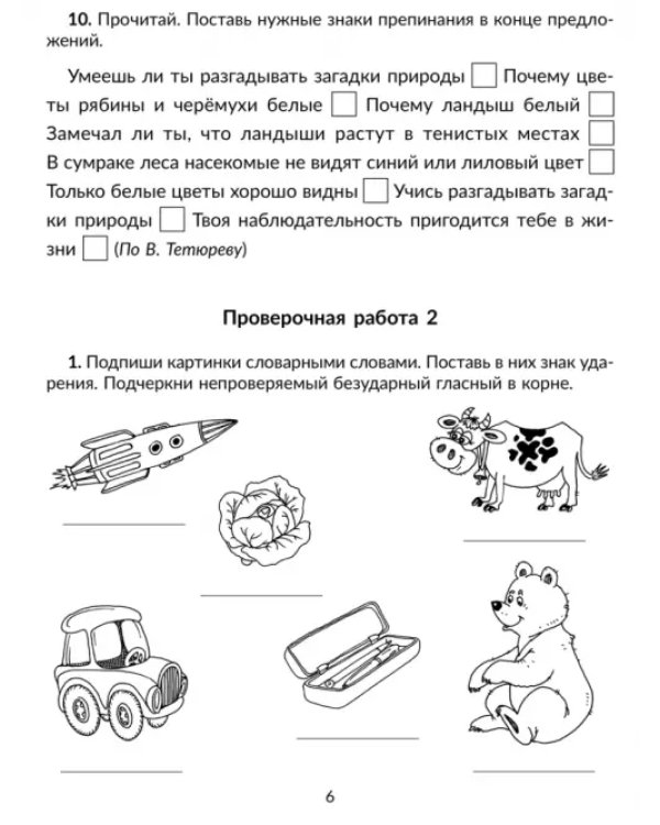Русский язык. 1-4 классы. Проверочные работы на все темы школьной программы