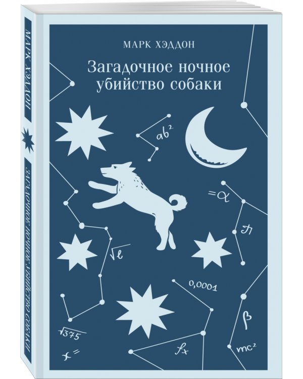 Загадочное ночное убийство собаки