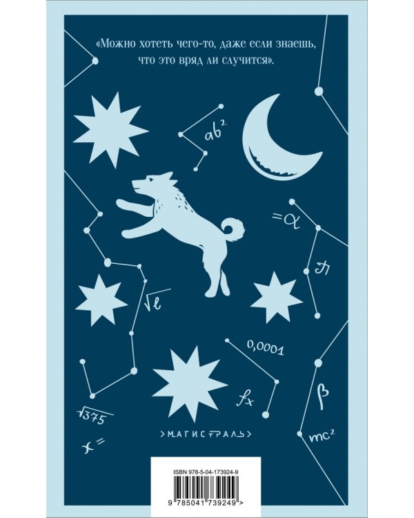 Загадочное ночное убийство собаки