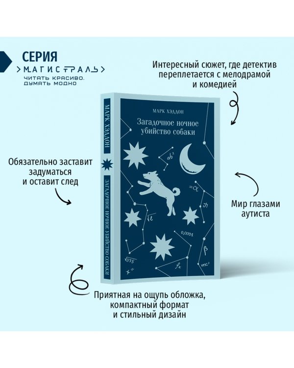 Загадочное ночное убийство собаки