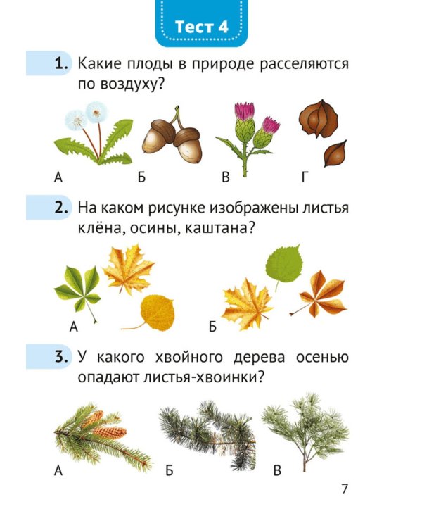 Человек и мир. 1 класс. Тесты