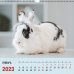 Календарь настенный перекидной на 2023 год Символ года 1