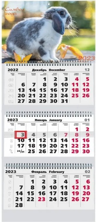 Календарь квартальный на 2023 год Символ года 3