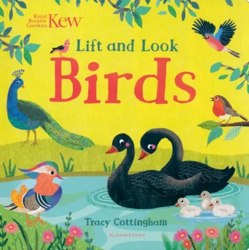 Kew. Lift and Look Birds Kew. Lift and Look Birds