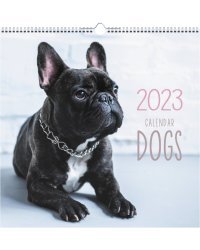 Календарь настенный перекидной на 2023 год Домашние любимцы 2