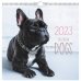 Календарь настенный перекидной на 2023 год Домашние любимцы 2
