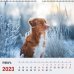 Календарь настенный перекидной на 2023 год Домашние любимцы 2