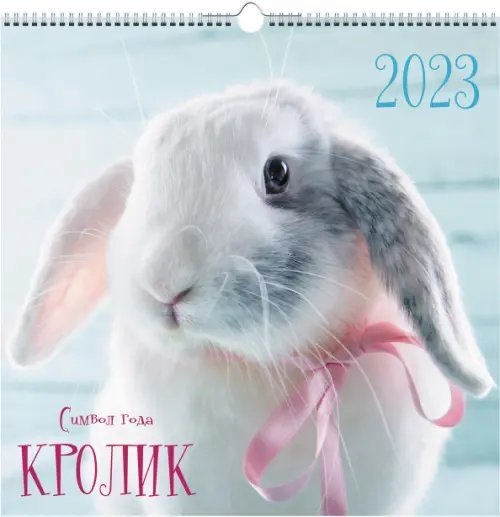 Календарь настенный перекидной на 2023 год Символ года 3 Календарь настенный перекидной на 2023 год Символ года 3