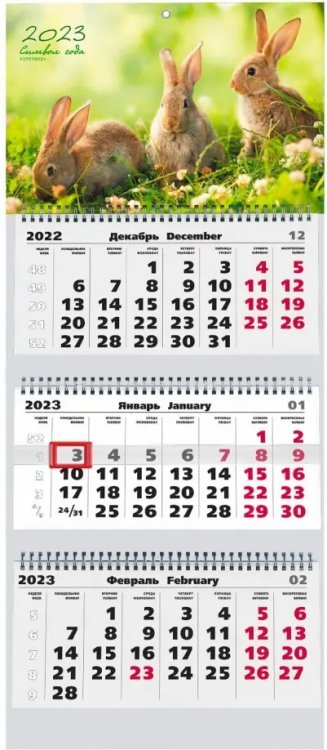 Календарь квартальный на 2023 год Символ года 1