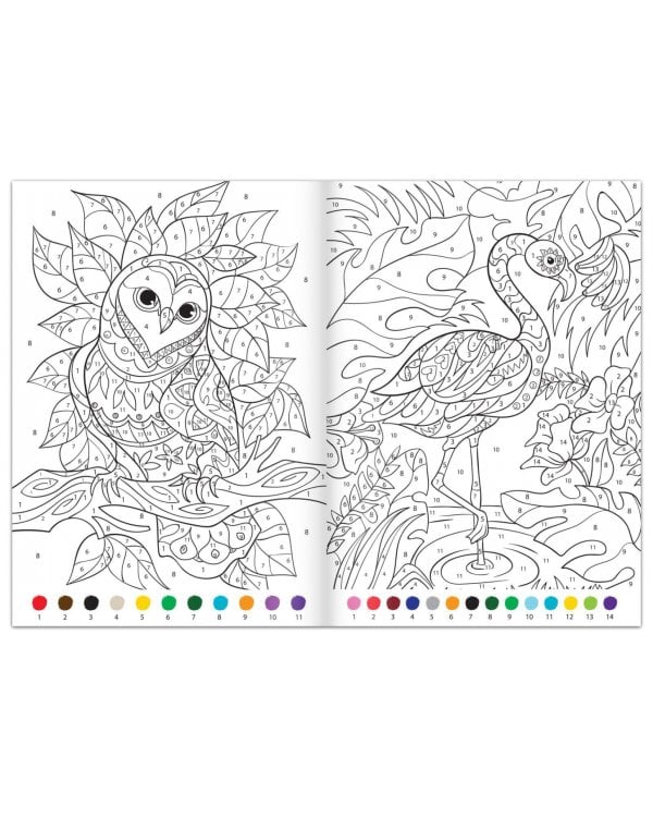 Удивительный мир. Раскраска по номерам