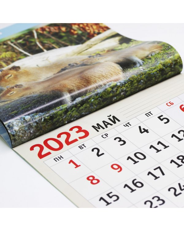 Календарь настенный перекидной на 2023 год Дикие животные 1
