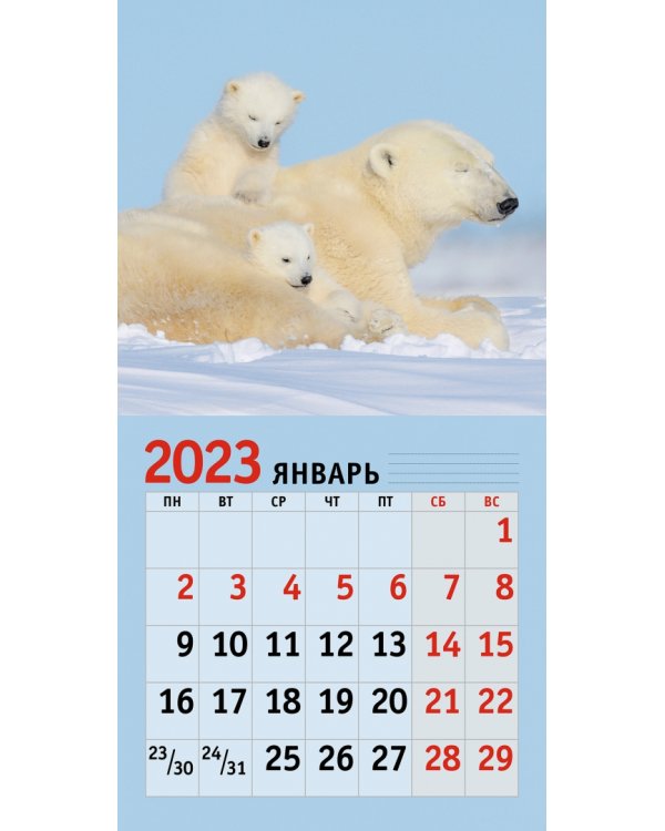 Календарь настенный перекидной на 2023 год Дикие животные 1