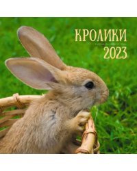 Календарь настенный перекидной на 2023 год Символ года 1