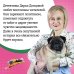 Дополнительное изображение книги «Курятник в пентхаусе»