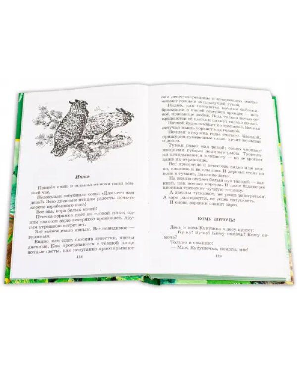 Дополнительное изображение книги «Лесные тайнички»