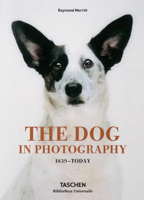 Bibliotheca universalis The Dog in Photography 1839–Today