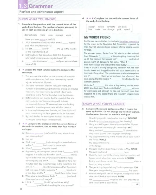 Focus. Level 5. Workbook