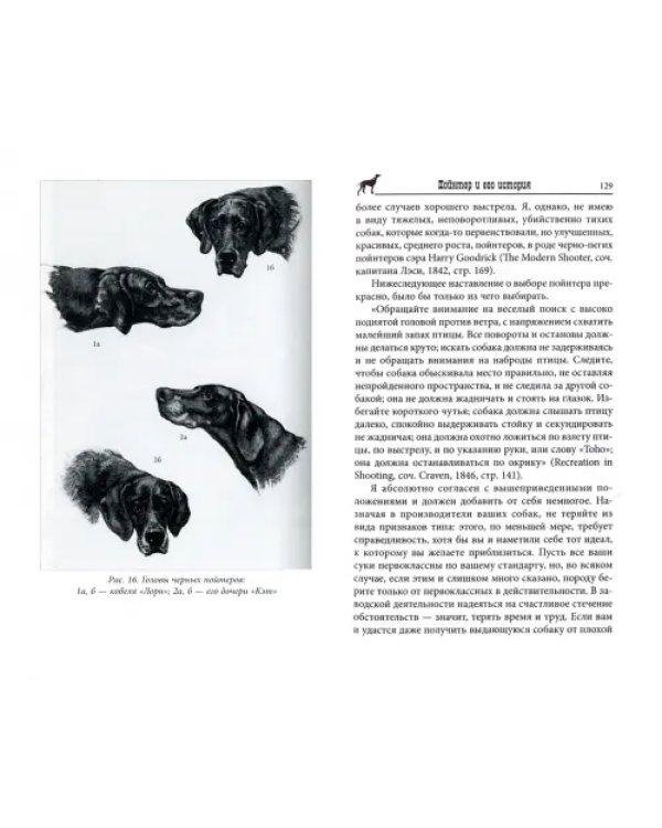Пойнтер и его история