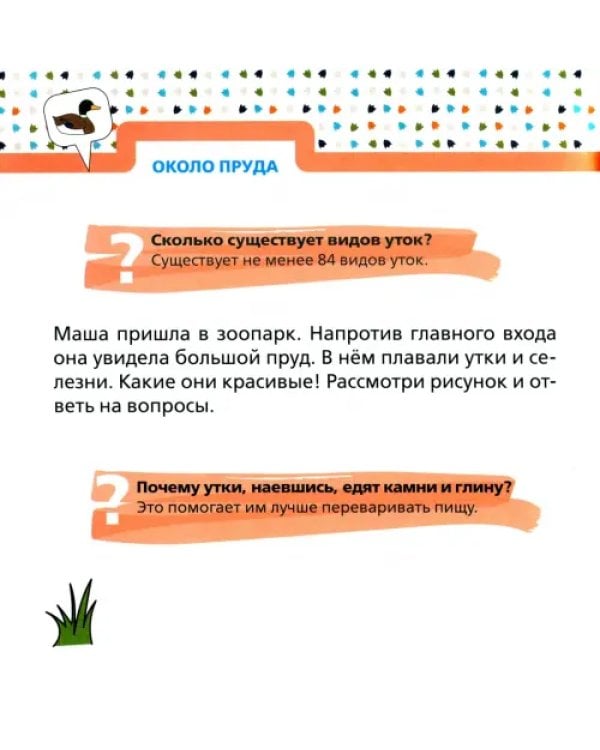 Обитатели зоопарка