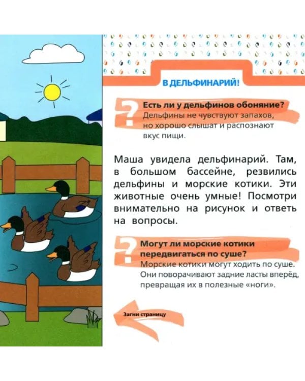 Обитатели зоопарка