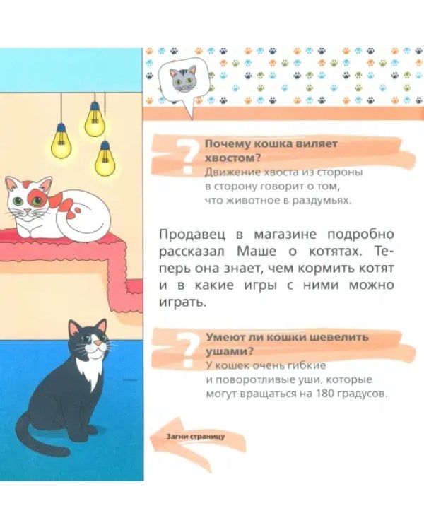 Домашние питомцы