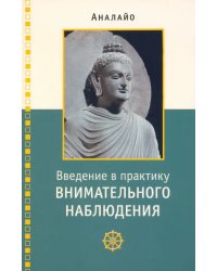 Введение в практику внимательного наблюдения