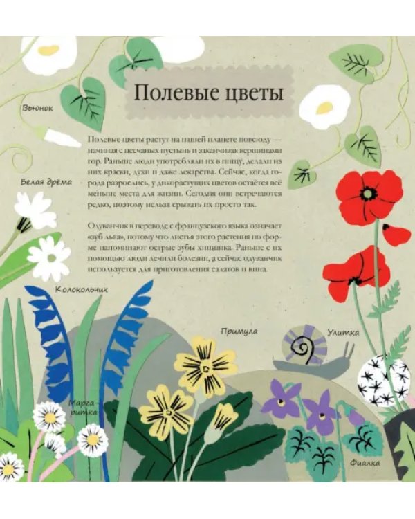 Книга природы. Мир вокруг - мой лучший друг!