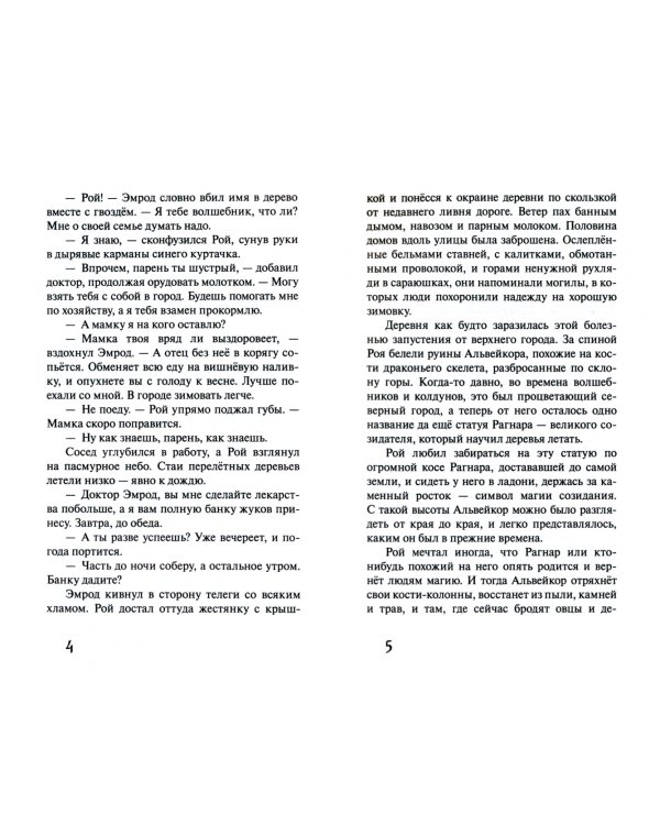 Последний колдун королевства