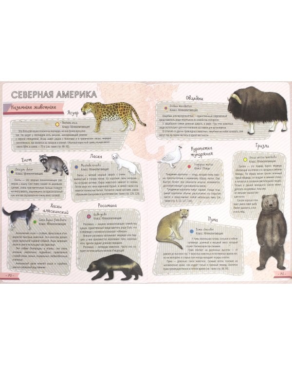 Атлас животных