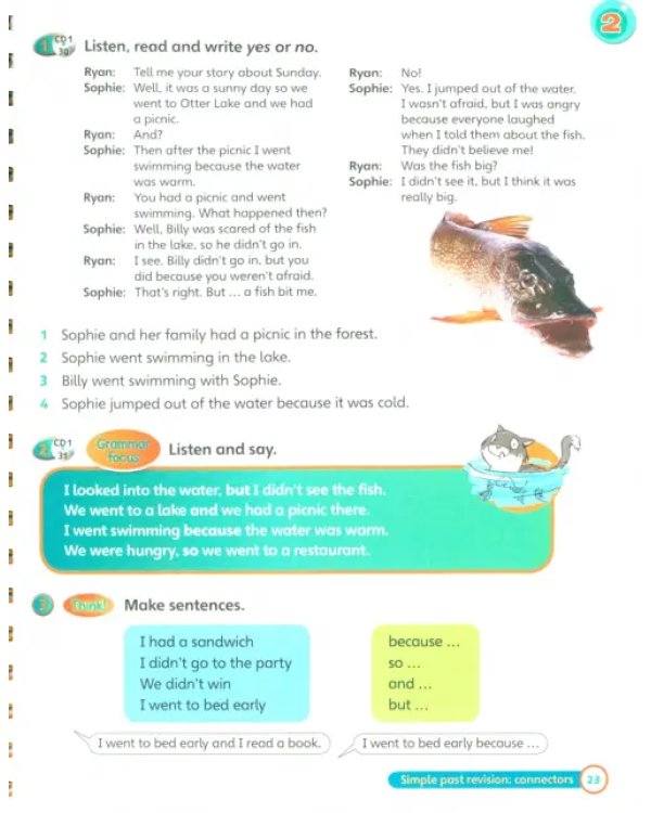 Super Minds. Level 4. Teacher's Book